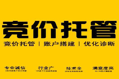 竞价SEM托管解决方案：企业广告投放新思路